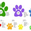 Pawz size chart