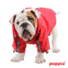 Puppiass14FBase Jumper (Raincoat) 6