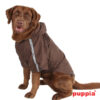 Puppiass14FBase Jumper (Raincoat) 9b