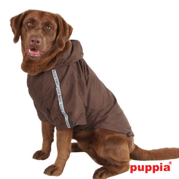 Puppiass14FBase Jumper (Raincoat) 9b