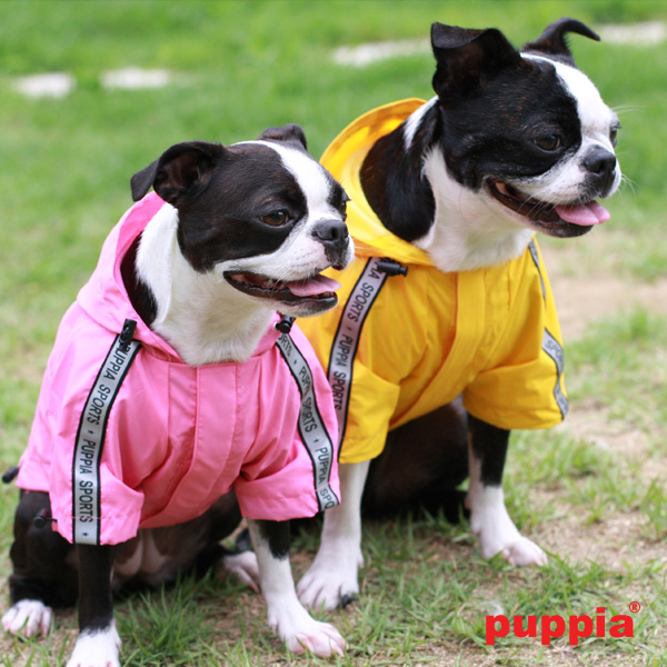 Puppiass14FBase Jumper (Raincoat) 9c