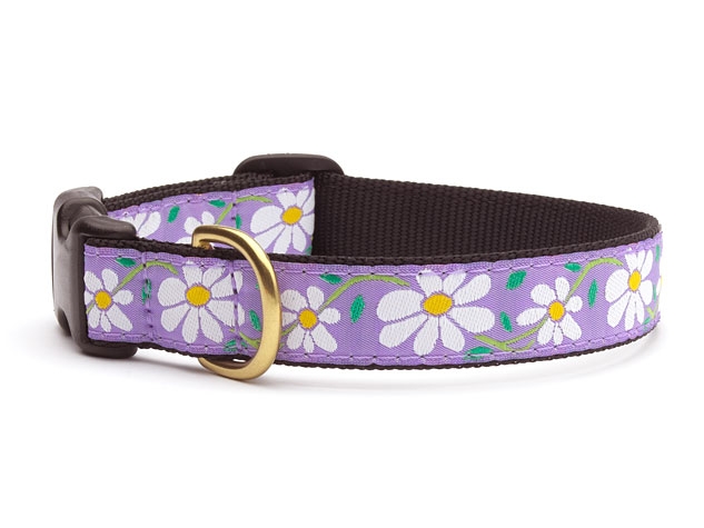 Daisy Collar