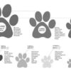 PAWZ BLACK size chart