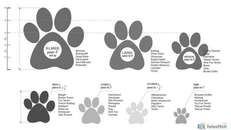 PAWZ BLACK size chart