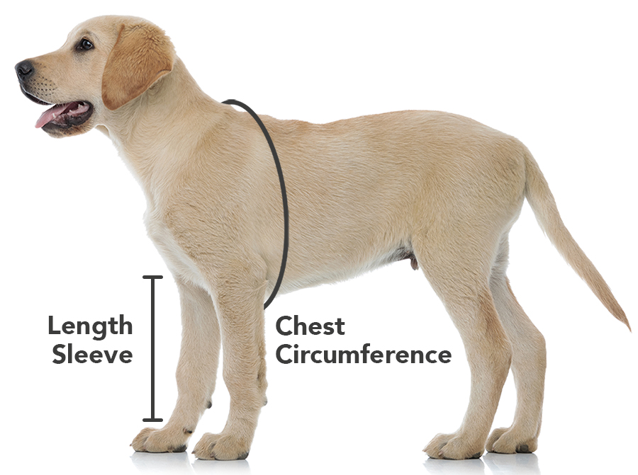 SUITICAL_EN_DOG-MEASURING_RECOVERY-SLEEVES_01_2022