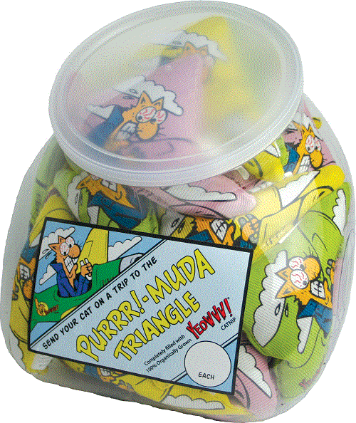 ESPOSITORE CON 18 TRIANGOLI PURR! MUDA – Jug of 18 Purrr!-Muda Triangles (assorted)