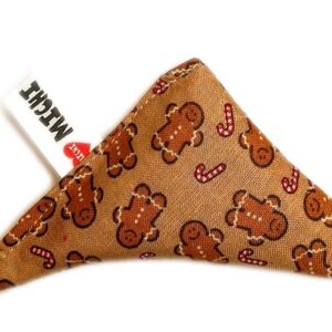 GINGERBREAD CAT TOY TRIANGLE MICHI GIOCHI PER GATTI TRIANGOLINO NATALE CON ERBA GATTA