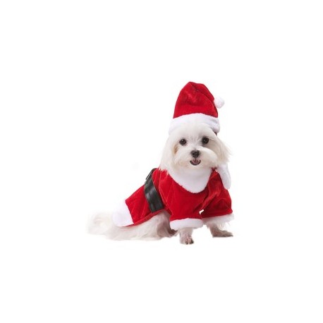 Santa Paws Coat W/ Hat